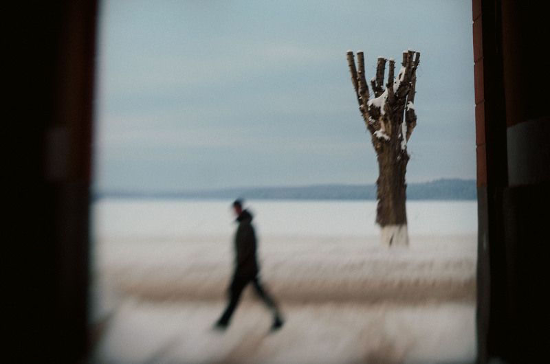 Дерево и человекphoto preview