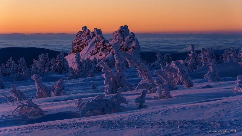 красочный, рассвет, пихты, снег, иней, сугробы, зима, гора курган, верблюды, шерегеш, горная шория Pro первые лучи рассветаphoto preview