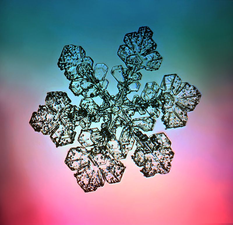 макро, снежинки, снег, макрофото, macro, snowflake, Снежинки в деталяхphoto preview