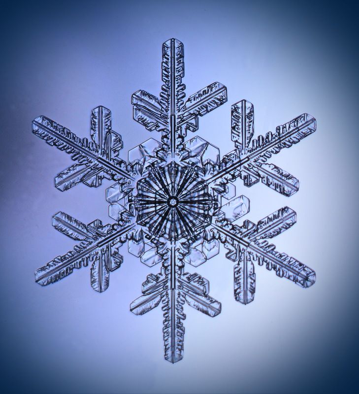 Прошлогодняя снежинкаphoto preview