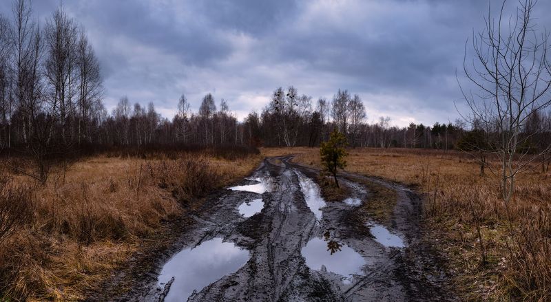 луг зима январь лужи сырость На бездорожье неба вдоль безмолвияphoto preview