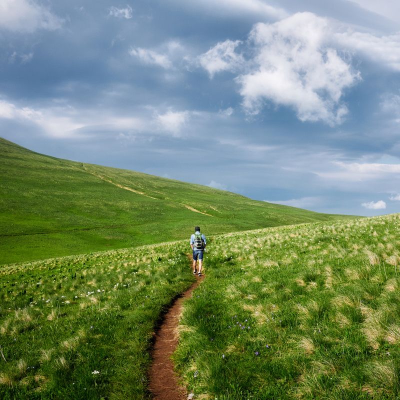 пейзаж, тропа, горы, облако, зелень, цветы, путешествия, landscape, trail, mountains, cloud, greenery, flowers, travel Альпикаphoto preview