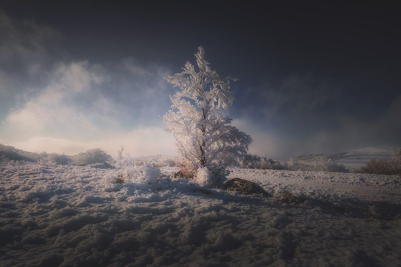 Крым Зимнийphoto preview