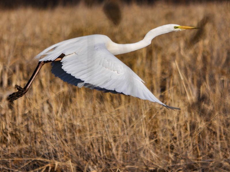 На пролетеphoto preview