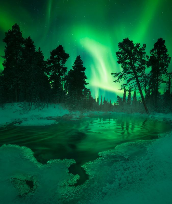 кольский полуостров, кольский, зима, winter, snow, kola peninsula, forest, aurora borealis Catching the lightphoto preview