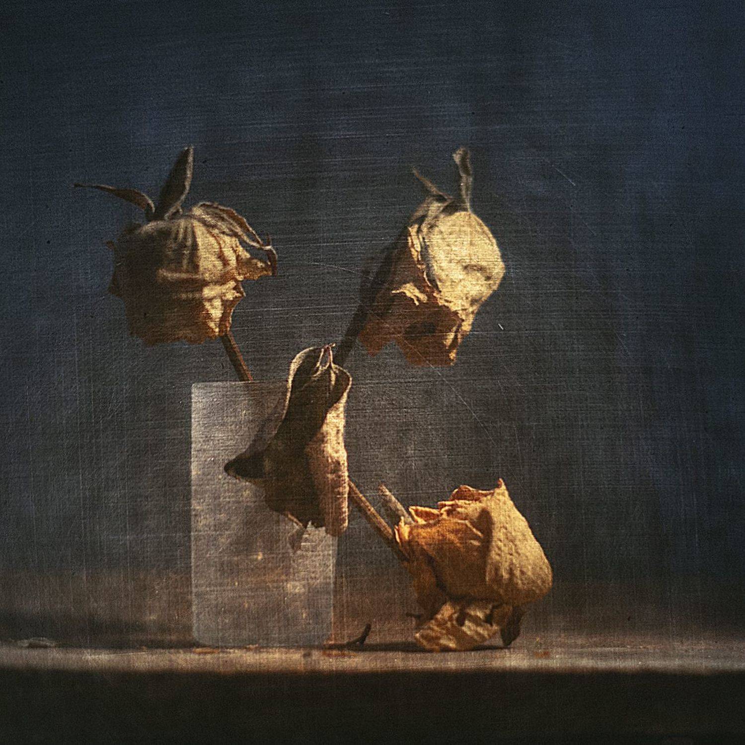 Застывшая память.... Автор: Татьяна Аверина , Татьяна Аверина