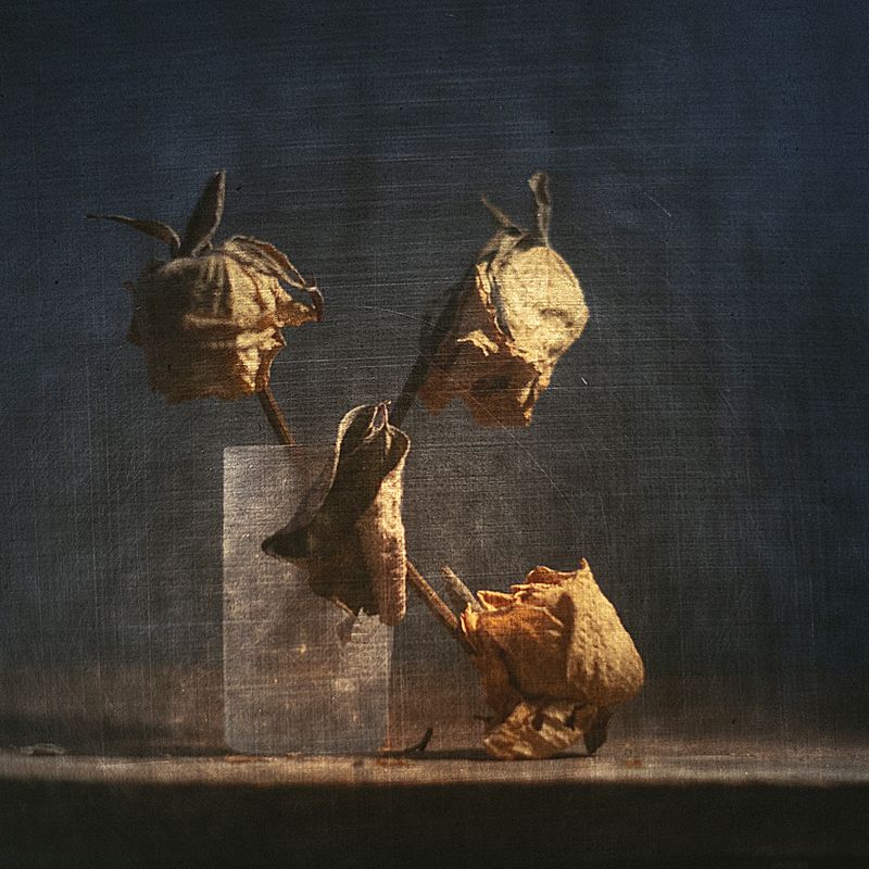 Застывшая память...photo preview