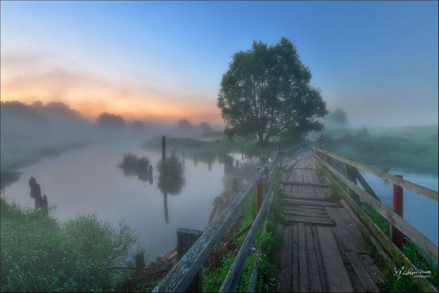 * * *. Автор: Lobanov Roman с.Филипповское Лобанов Пересвет, Lobanov Roman