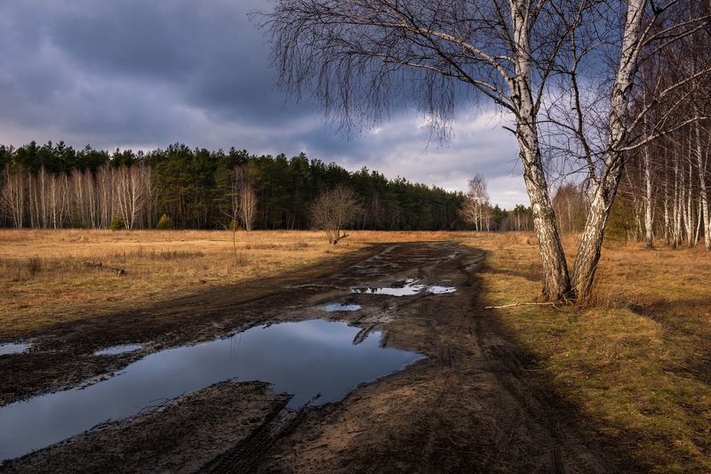 луг, зима, январь, лужи, , тучи, закат Последний свет январского дняphoto preview