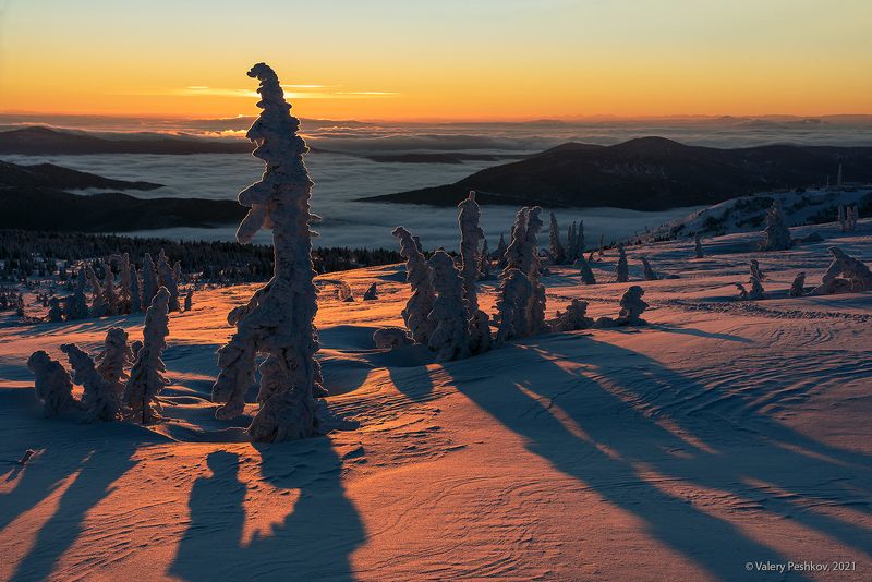 красочный, рассвет, пихты, снег, иней, сугробы, зима, гора курган, шерегеш, горная шория Рассветнаяphoto preview