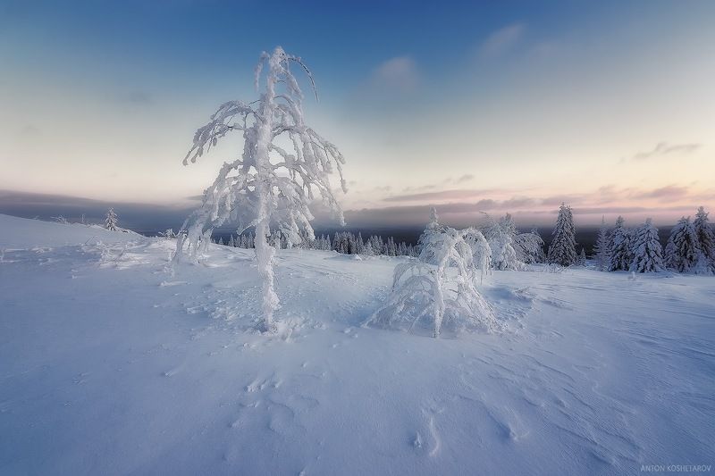 Канделябрыphoto preview