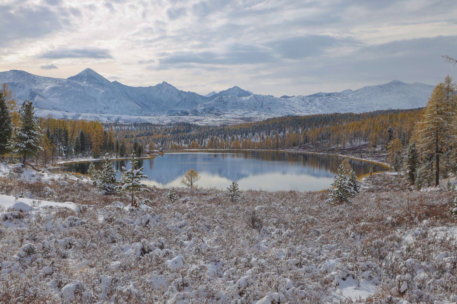, Константин Буркин