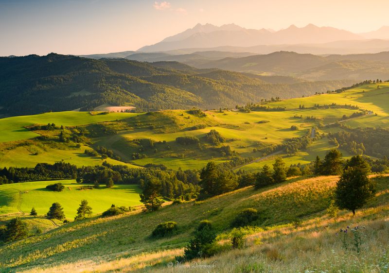 carpathians, golden hour, landscape, mountains, mountainscape, nature, nikon, outdoors, pieniny, poland, sky, sunrays, sunset, tamron, trees, tullusion, wysoki wierch, tatras, tatry Warning, High Altitudes Aheadphoto preview