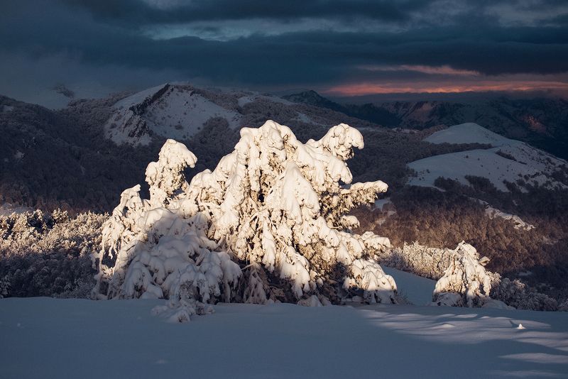 крым ***photo preview