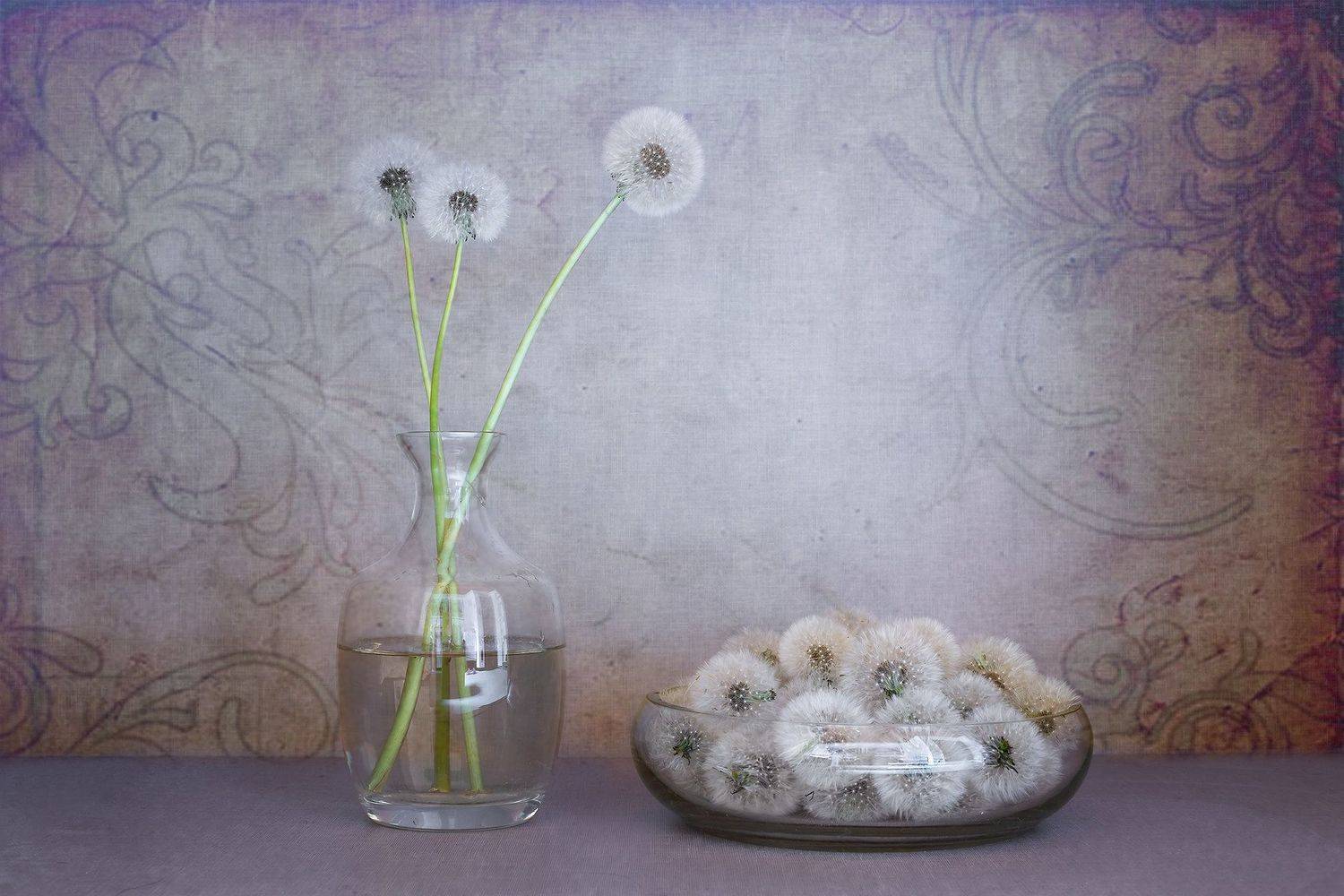 одуванчик, Станка Петрова