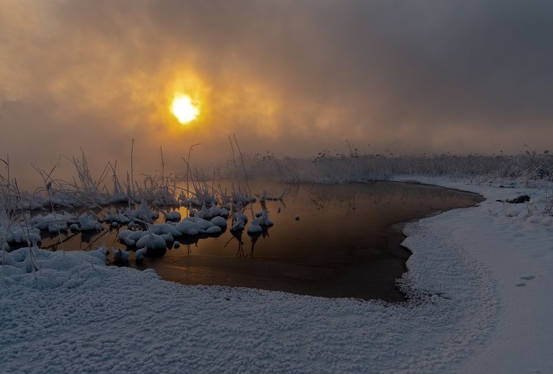 Из жизни кочекphoto preview