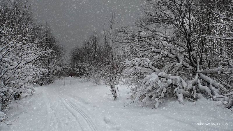 пейзаж снежный четвергphoto preview