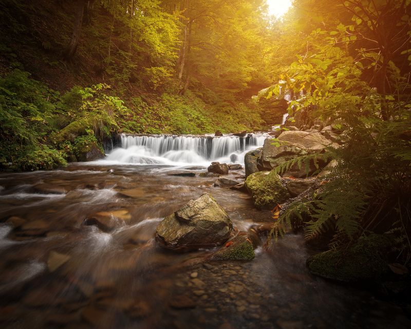 горы, карпаты, водопад, шипот, река, лес, украина Карпатыphoto preview