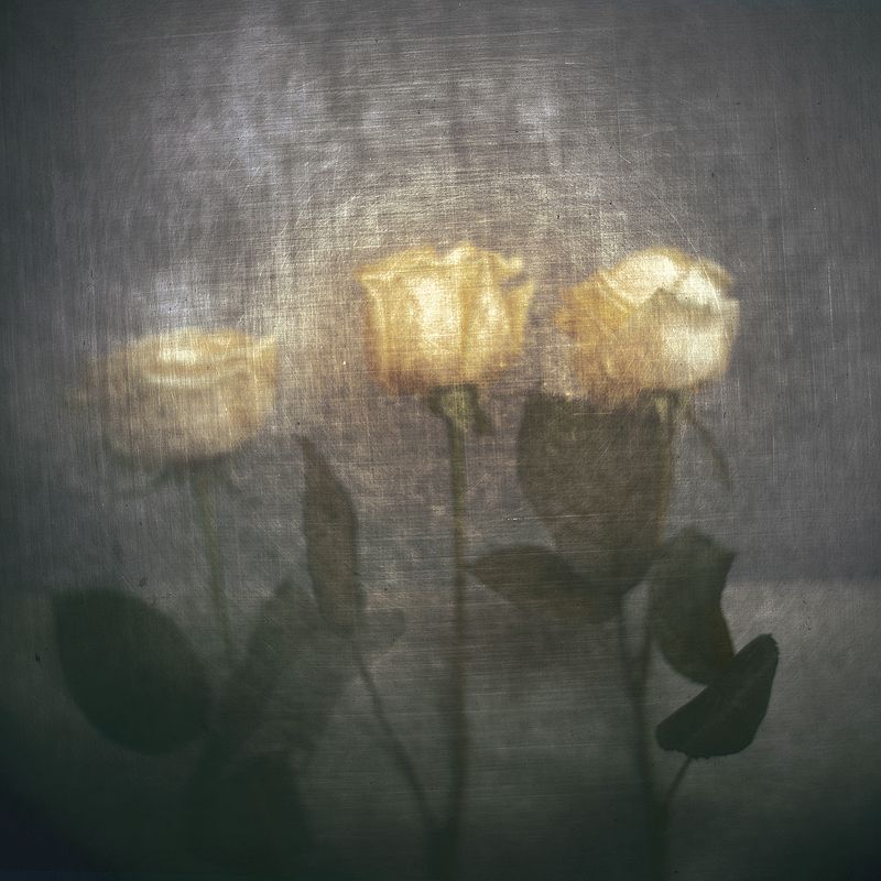 Миражиphoto preview