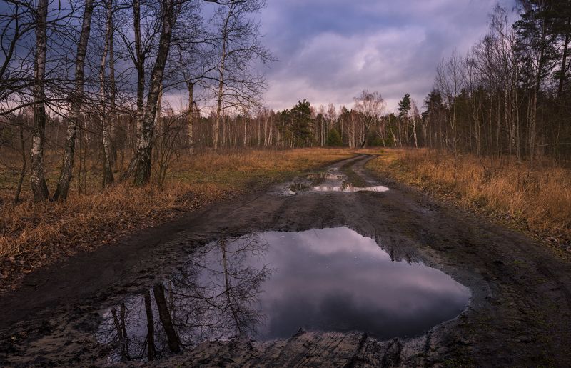 луг зима январь лужи  тучи Сникла прежняя краса, день незримо таетphoto preview