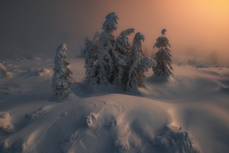 Verge of the surrealphoto preview