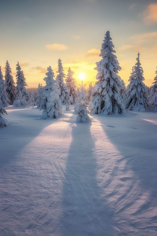 Мороз и солнцеphoto preview