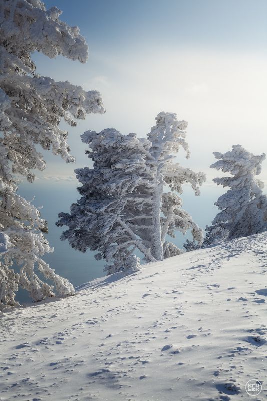 крым, зима, ай-петри Зимняя сказка на Ай-Петриphoto preview