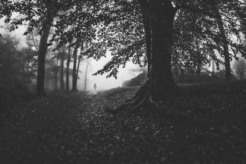 landscape,autumn,mountains,canon The Fog Engulfs Us...photo preview