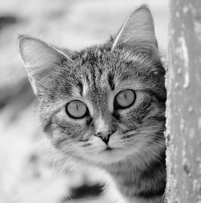 Страшноphoto preview