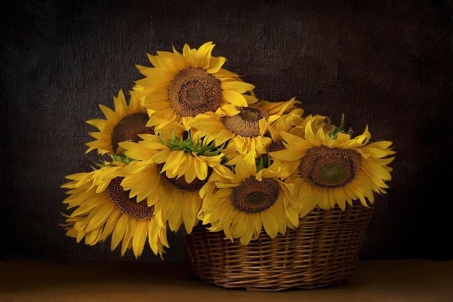 подсолнухи, Станка Петрова