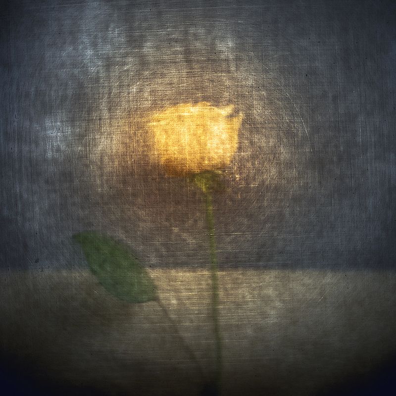 Зимнее солнцеphoto preview