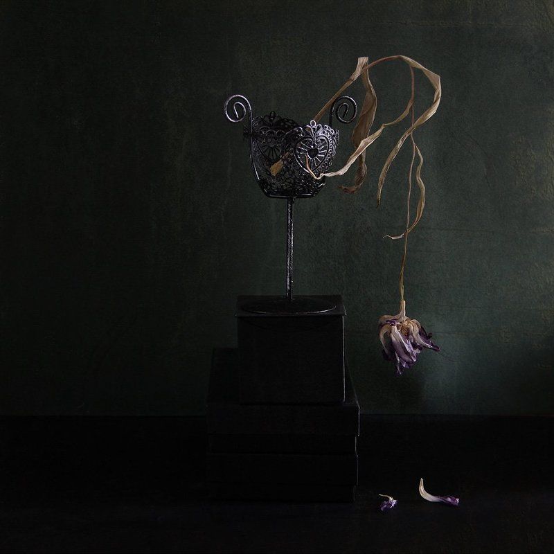 Под музыку Бахаphoto preview