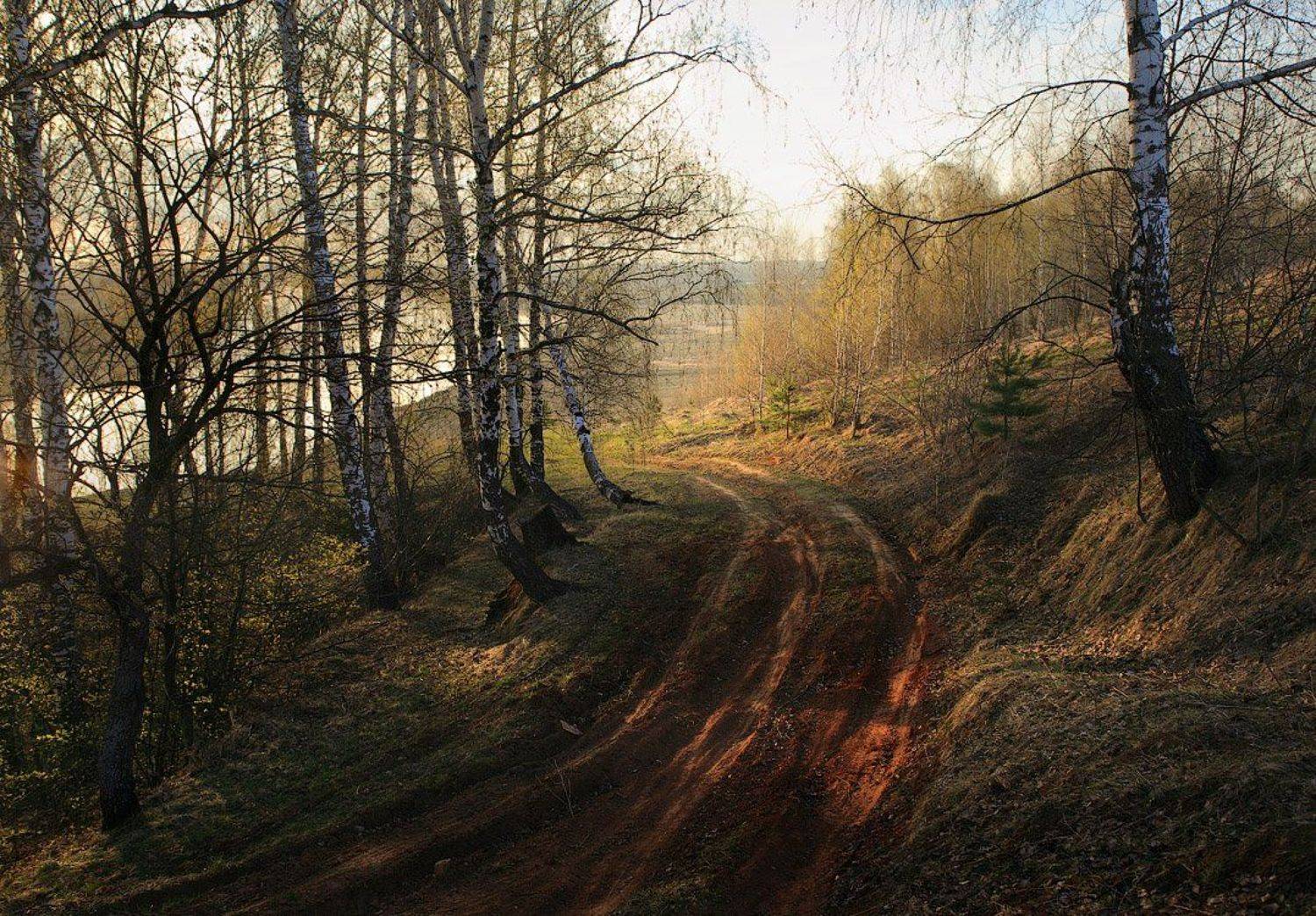 Спускаясь к Клязме. Автор: Дмитрий Алексеев , Дмитрий Алексеев