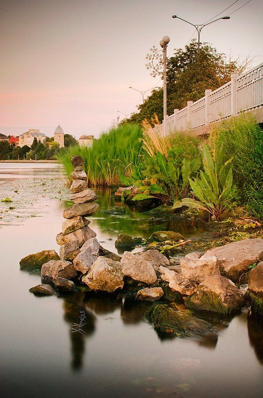 Reflections фото превью