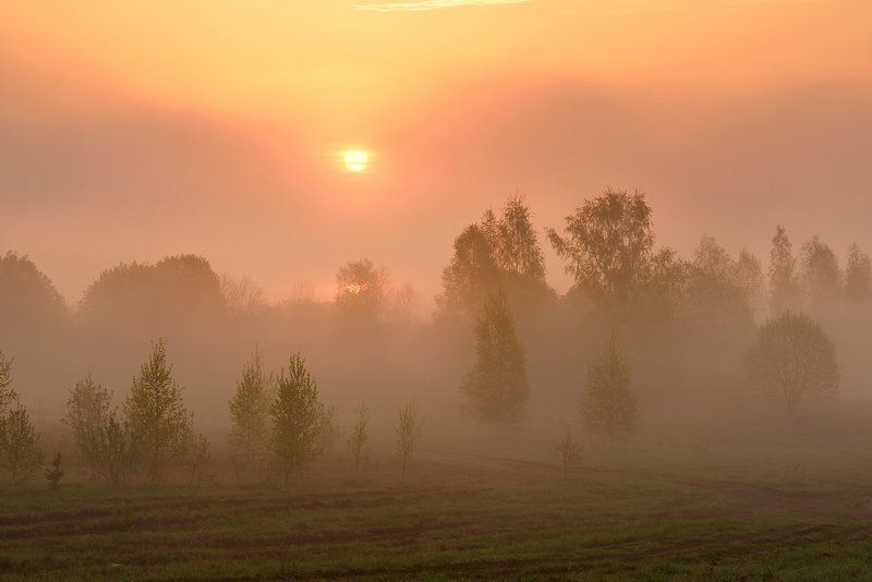 Вашутинские рассветыphoto preview