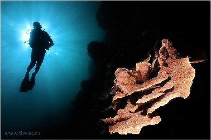 Indonesia, Wide angle Rosephoto preview