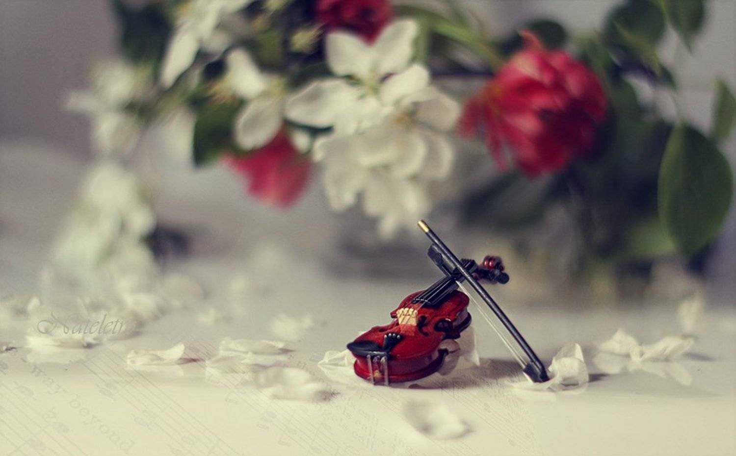 Весенняя соната. Автор: Наталья Кузнецова (Nateletro) , Наталья Кузнецова (Nateletro)