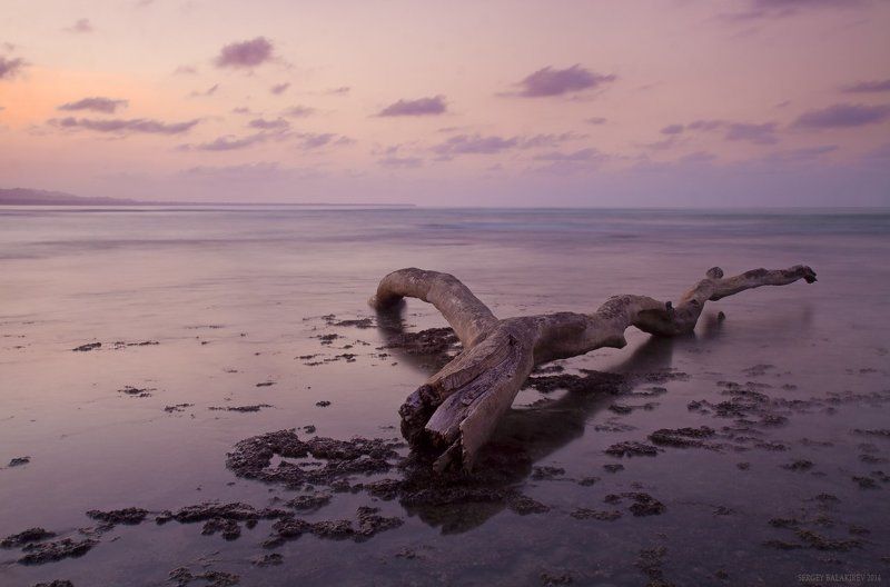 Последнее пристанищеphoto preview