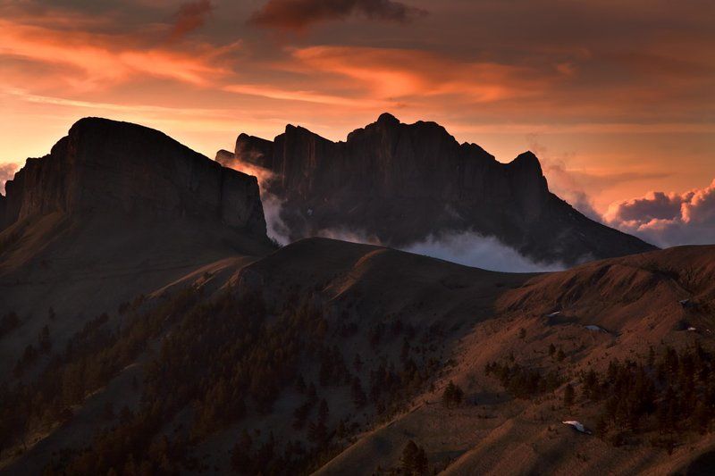 Тхачи засыпаютphoto preview