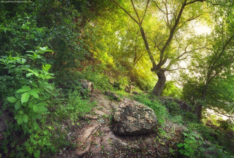 Тропинка вдоль реки Кальмиусphoto preview