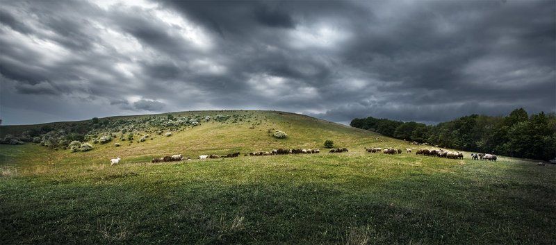 After rainphoto preview