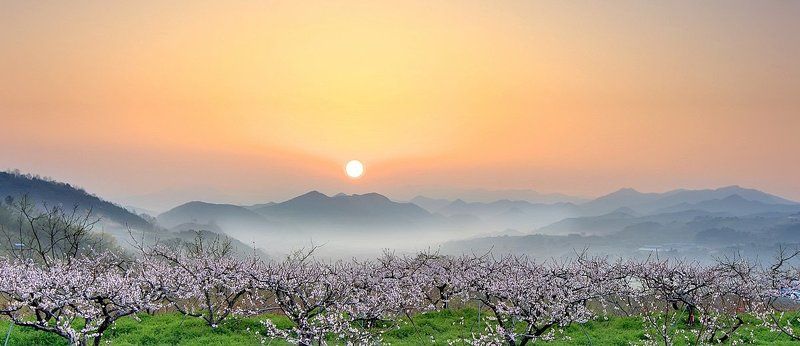 Boksakkotphoto preview