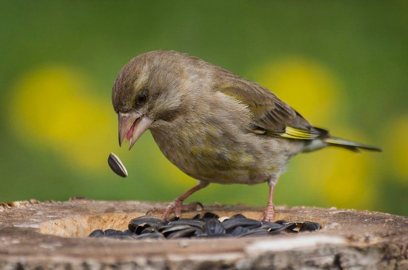 Сила взглядаphoto preview