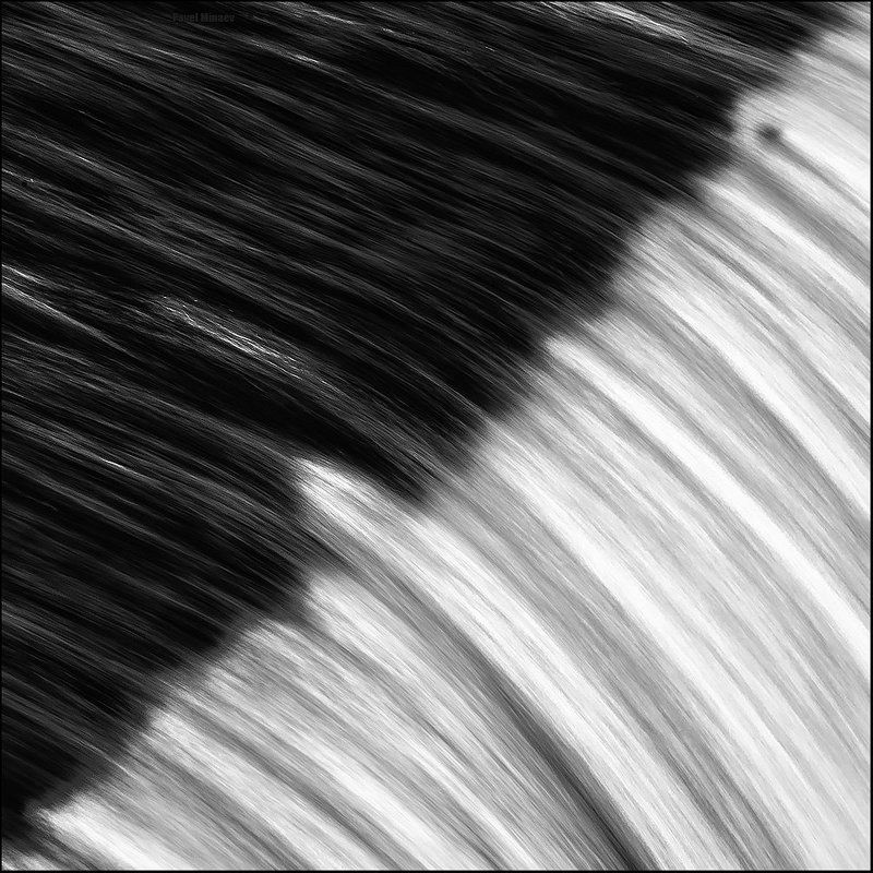 Водаphoto preview