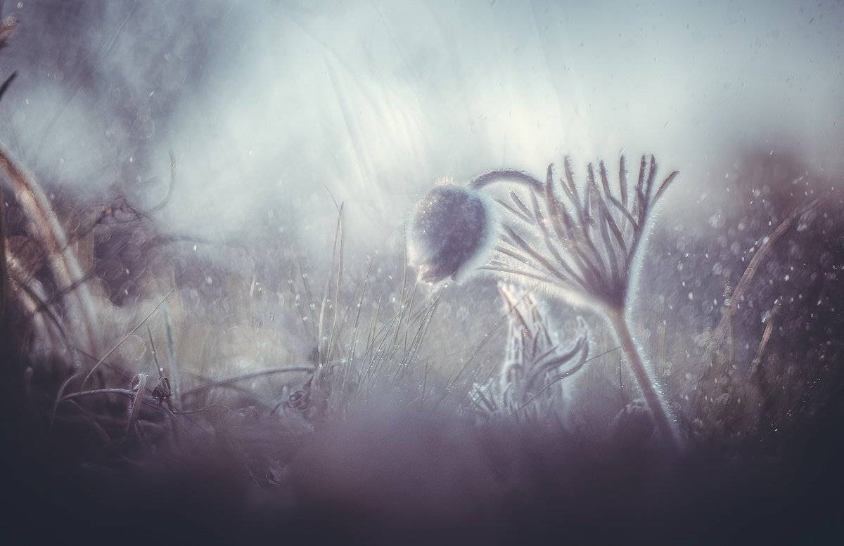 , Татьяна Аверина