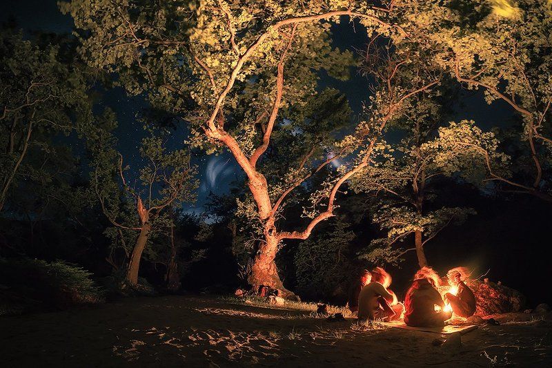 Chorus of Treesphoto preview