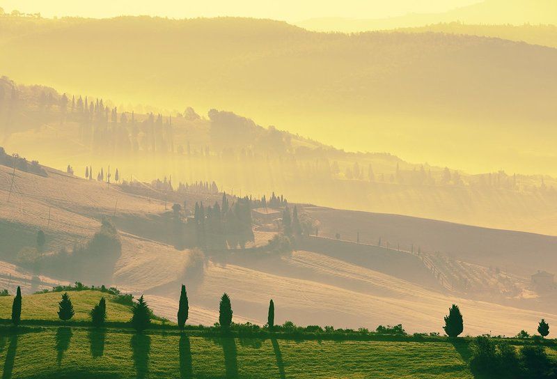 Morningphoto preview