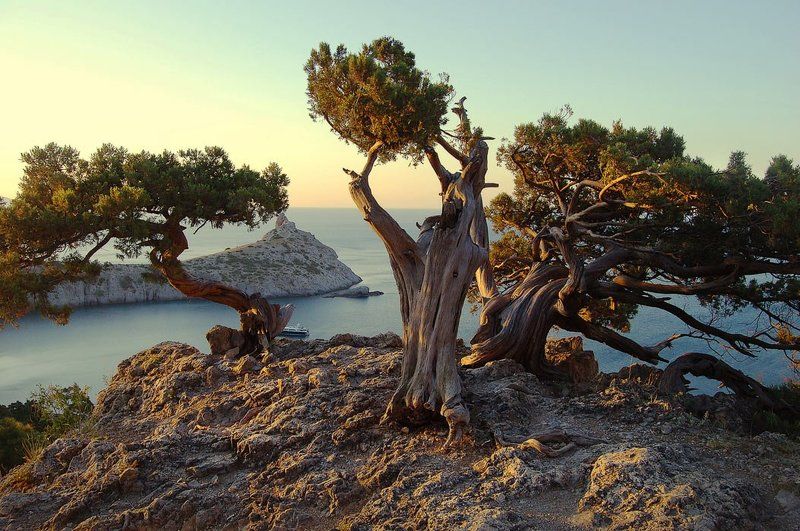 Три богатыряphoto preview