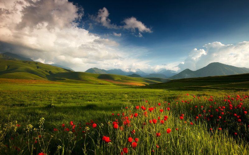 Весна продолжается...photo preview