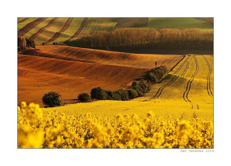 fields like a carpet...photo preview